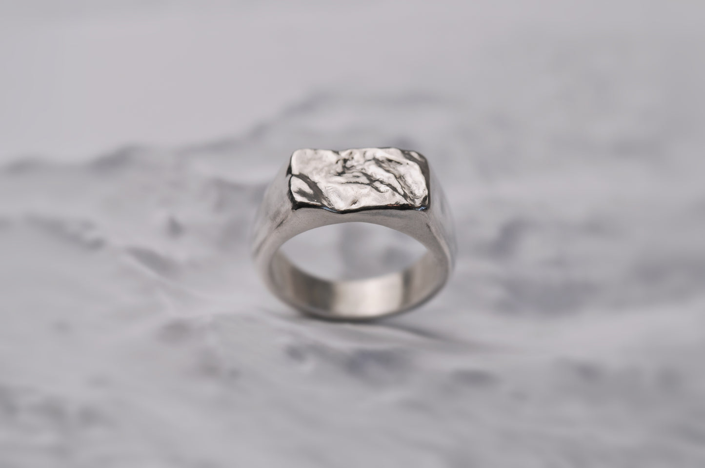The Whistler Signet Ring for Men
