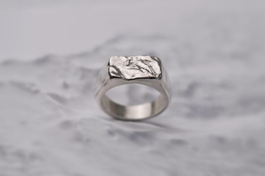 The Whistler Signet Ring for Men