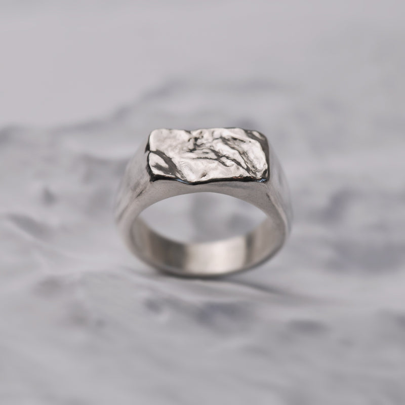 The Whistler Signet Ring for Men